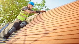 Best Roof Moss and Algae Removal  in Gardnerville Ranchos, NV