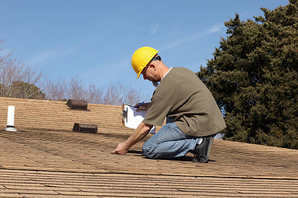 Best Roof Moss and Algae Removal  in Gardnerville Ranchos, NV